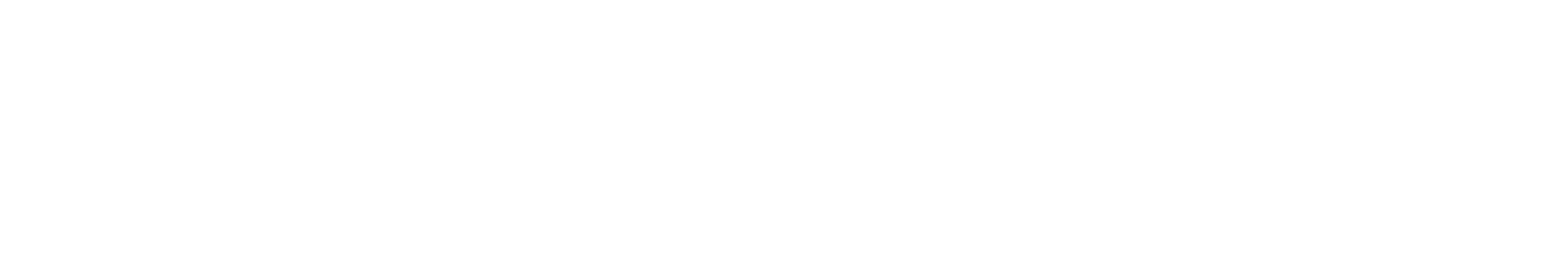 Schweighofer_Logo_final_WEISS_300dpi